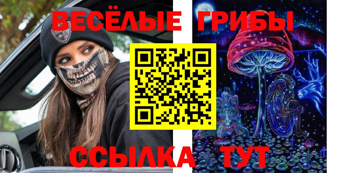 Галлюциногенные грибы GOLDEN TEACHER Аргун