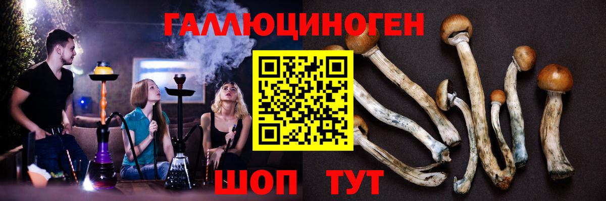 Галлюциногенные грибы Magic Shrooms  Вход с VPN  Аргун 